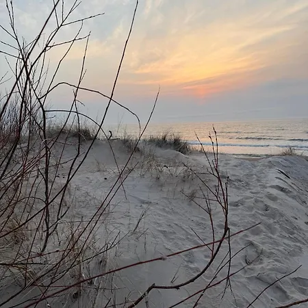 Baltic Dune 50m To Sea Palanga