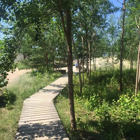 Baltic Dune 50m To Sea Palanga