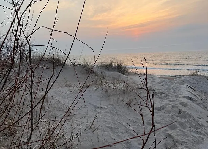 In The Dunes Palanga